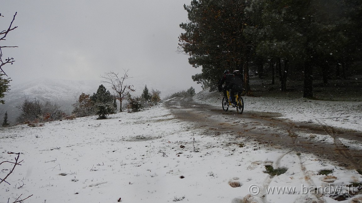DSCN6254.jpg